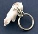 Solid Metal Wild Adventures Polar Bear Key Chain Keychain