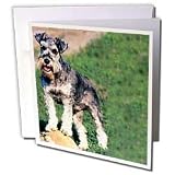 Dogs Schnauzer - Schnauzer - Greeting Cards-6 Greeting Cards with envelopes