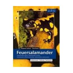 Feuersalamander: Salamandra algira, Salamandra corsica, Salamandra infraimmaculata, Salamandra salamandra