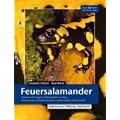 Feuersalamander: Salamandra algira, Salamandra corsica, Salamandra infraimmaculata, Salamandra salamandra