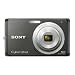 Sony Cybershot DSC-W180 10.1MP Digital Camera with 3x SteadyShot Stabilized Zoom and 2.7-inch LCD (Black)