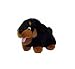 rottweiler30 - Junior Rottweiler