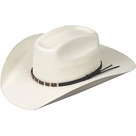 Bailey Western Mens Dwight Hat by Black Felt Hats