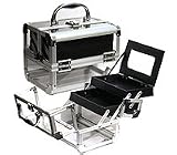 Transparent Clear Cosmetics Makeup Train Case with Mirror