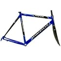 Pinarello Prince Road Frameset
