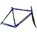 Pinarello Prince Road Frameset
