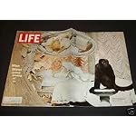 LIFE MAGAZINE APRIL 18 1969 MAE WEST COLOR COVER PHOTO book cover