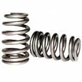 TOMEI (163027 STI) Valve Springs - EJ20