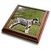 Dogs Australian Cattle - Australian Cattle Dog - Trivets