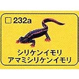 食玩 チョコQ 日本の動物 第10弾 232a.シリケンイモリ(アマミシリケンイモリ) タカラ 海洋堂