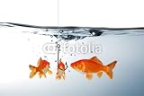 Wallmonkeys Peel and Stick Wall Decals - Angelhaken - 18W x 12H Removable Graphic