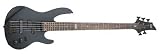 ESP LTD B55 5-String Electric Bass (Black)
