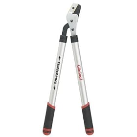 Gilmour Telescoping Gear Driven Anvil Lopper, 1-1 4 Inch Cutting Capacity, #25AT, Aluminum by Gilmour
