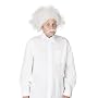 Einstein Wig Adult