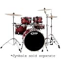 Pacific MXKT2205BX8 MX Series 5pc Drum Set Cherry to Black Fade Cherry to Black Fade