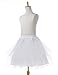 Remedios Kids Mini 3 Layers Wedding Flower Girl Petticoat/Underskirt/Crinoline Slip