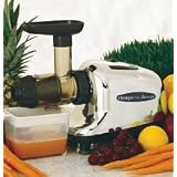 Best Juicer Reviews Wheatgrass Juicer