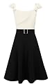 Full Skirted Colorblock Dress