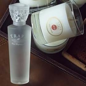 Trapp Home Fragrance Mist - No 39 Sexy Cinnamon 3.4 oz.