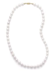 16 Inch 7.5-8mm Grade AA Cultured Akoya Pearl Necklace individually knotted with a 14K Yellow Gold Clasp