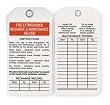 Industrial Grade 2RMX5 Inspection Tag, Fire Extinguisher, Pk 25