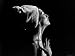 Woman under Shower Smoothing Water over Skin Photographic Poster Print