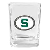 Michigan State Logo Square Shot
