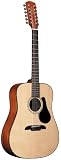 Alvarez RD20S12 Dreadnought Acoustic Guitar, 12 String