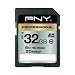 Pny Professional Series - Flash Memory Card - 32 Gb - Class 