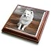 American Eskimo Toy Dog - 8x8 Trivet With 6x6 Ceramic Tile