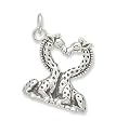 Heart Shaped Giraffes Charm
