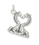Heart Shaped Giraffes Charm
