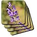 Salvia017 Small Blue Flowers - Set Of 4 Ceramic Tile Coasters