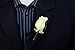 Angel Isabella Boutonniere - Ivory Rosebud Boutonniere with Pin Suited for Prom, Party, Wedding