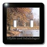 Beverly Turner Birthday Photography - Tillykke med fodselsdagen, Happy Birthday in Danish, At the Lake - Light Switch Covers - double toggle switch