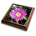 Flowers Ice Plant Lampranthus - 8x8 Trivet With 6x6 Ceramic Tile