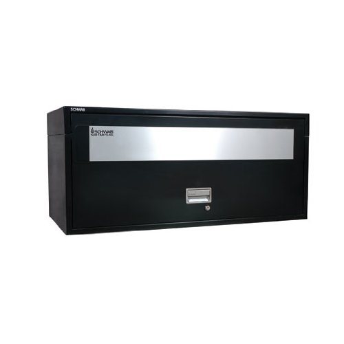 SentrySafe 1HD43ST Single Side 43 Inch