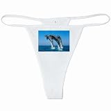 White Thong of Dolphins Dancing