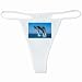 White Thong of Dolphins Dancing