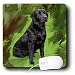 labrador1  - Dogs Labrador Retriever Black Labrador Retriever Mouse Pads
