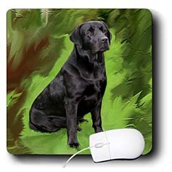 image link -  - B002I87I6G