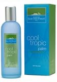Cool Tropic Palm Perfume For Women by Comptoir Sud Pacifique