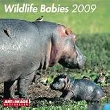 2009 Wildlife Babies 30x30 Calendar