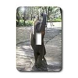 Angelique Cajams Safari Elephants - Thailand Elephant - Light Switch Covers - single toggle switch