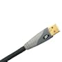 Monster Digital USB Audio Cable - 12 Feet