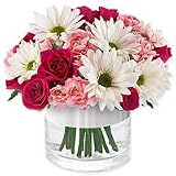 Flowers - Bliss