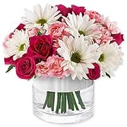 Floral Flowers - Bliss
