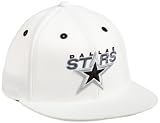 NHL Men's Dallas Stars Game Day White Pro Shape Flat Brim Flex Cap- Tx79Z (White, Small/Medium)