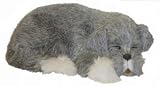 Life-like Curled Up Sleeping Schnauzer Puppy Decoration