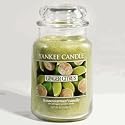 Yankee Ginger Citrus 22oz Housewarmer Candle